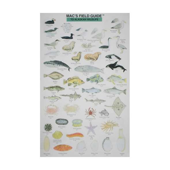 Mac'S Field Guide To Alaskan Wildlife - Book - ParacayMac'S Field Guide To Alaskan Wildlife - Book - Paracay