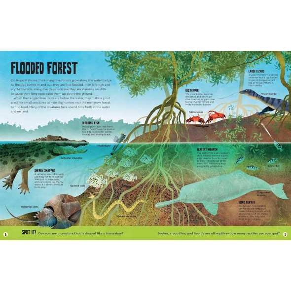 My First Oceans Atlas - Book - Paracay