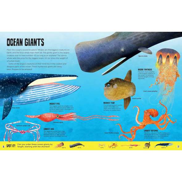 My First Oceans Atlas - Book - Paracay