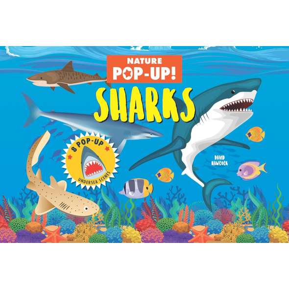 Nature Pop-Up! Sharks - Book - Paracay