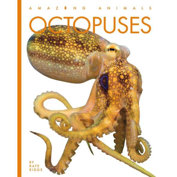 Octopuses  - Book - Paracay
