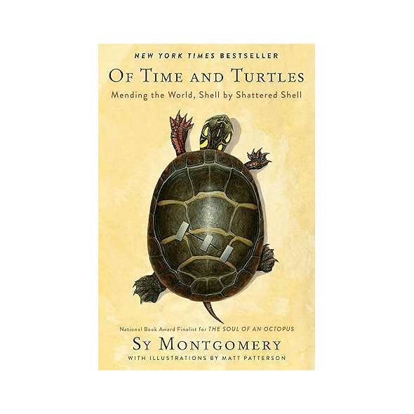 Of Time And Turtles - Book - Paracay