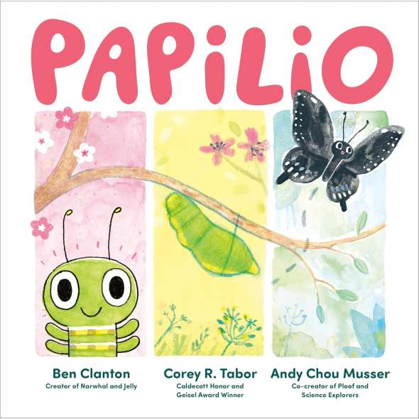 Papilio - Book - Paracay
