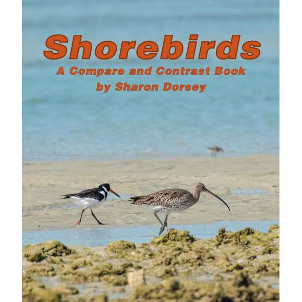 Shorebirds: A Compare And Contrast Book - Book - Paracay