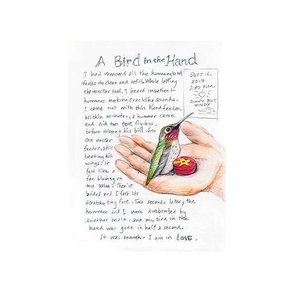 The Backyard Bird Chronicles - Book - Paracay
