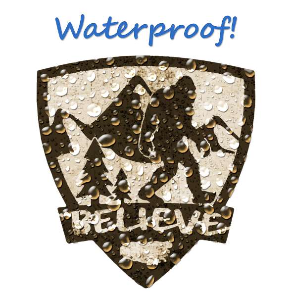 Believe Shield - Vinyl Sticker (1 STICKER) - paracay