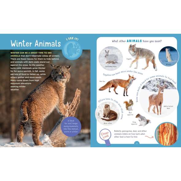 Backpack Explorer: Winter Walk - Book - Paracay