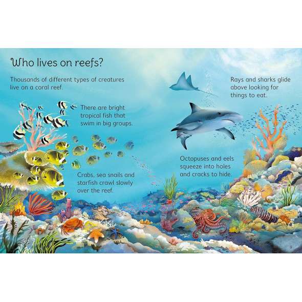 Coral Reefs - Book - Paracay
Coral Reefs - Book - Paracay