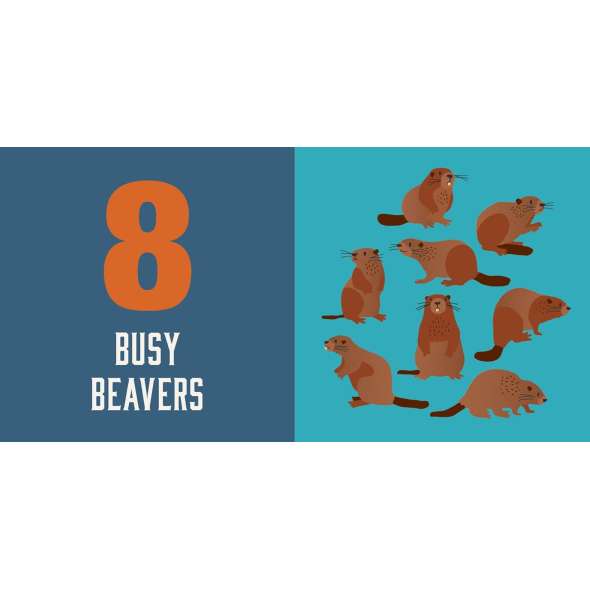Count On Oregon: Baby’S First Book About The Beaver State - Book - Paracay