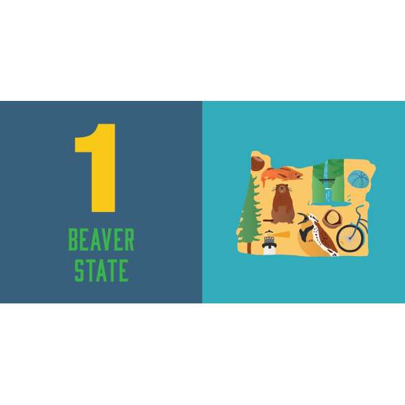Count On Oregon: Baby’S First Book About The Beaver State - Book - Paracay