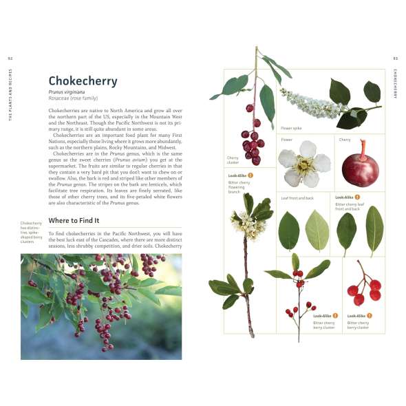 Edible Plants Of The Pacific Northwest - Book - Paracay