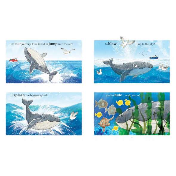 Finn'S First Song: A Whaley Big Adventure - Book - Paracay