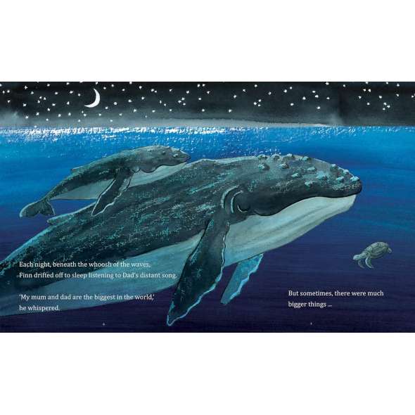 Finn'S First Song: A Whaley Big Adventure - Book - Paracay