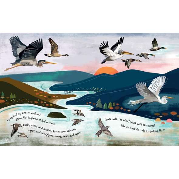 Follow The Flyway: The Marvel Of Bird Migration - Book - Paracay