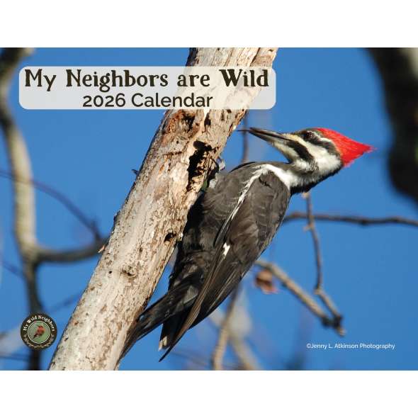 My Neighbors Are Wild 2026 Wall Calendar - Book - Paracay