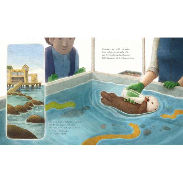 Odder: An Otter'S Story - Book - Paracay