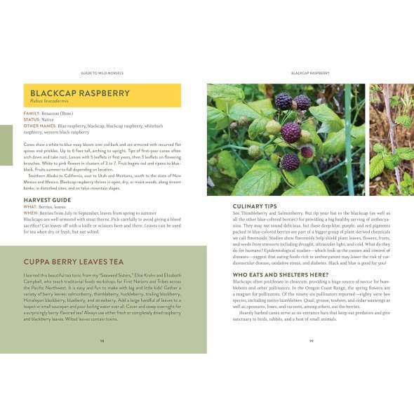 Pacific Harvest: A Northwest Coast Foraging Guide - Book - Paracay