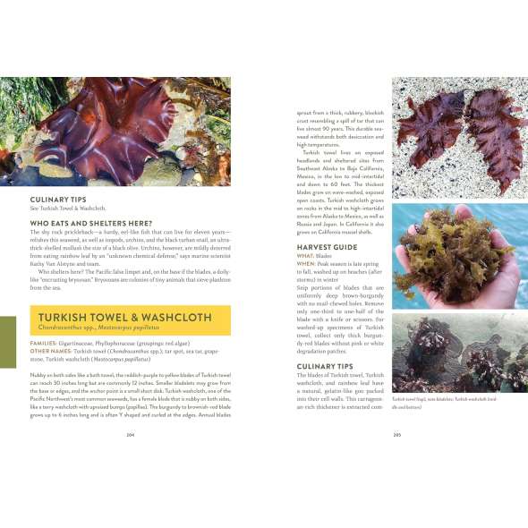 Pacific Harvest: A Northwest Coast Foraging Guide - Book - Paracay