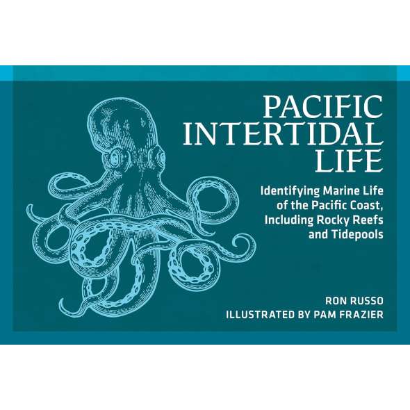 Pacific Intertidal Life: Identifying Marine Life Of The Pacific Coast, Including Rocky Reefs And Tidepools - Book - Paracay