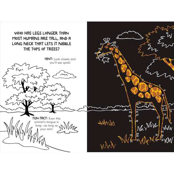 Dot-to-Dot Animals Scratch & Sketch - Book - Paracay