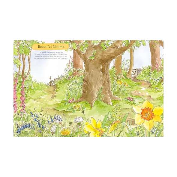 The Great Outdoors Sticker Activity Book - Book - Paracay