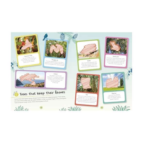 Ultimate Sticker Book Trees and Leaves - Book - Paracay