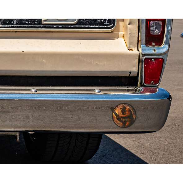Bigfoot Country USDS - Vinyl Sticker (1 STICKER) - Paracay