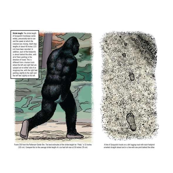 Bigfoot Revealed - 2026 - Calendar - Paracay