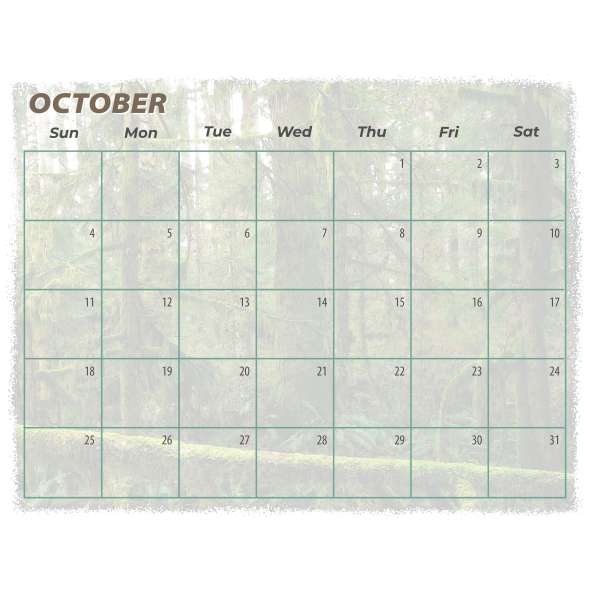 Bigfoot Revealed - 2026 - Calendar - Paracay