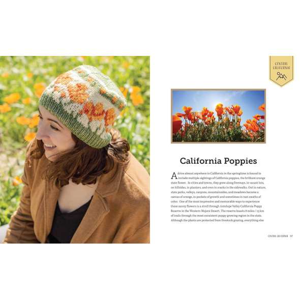 Knitting California - Book - Paracay