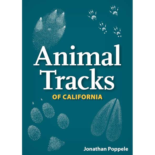 Animal Tracks Of  Ca Playing Cards - Book - Paracay