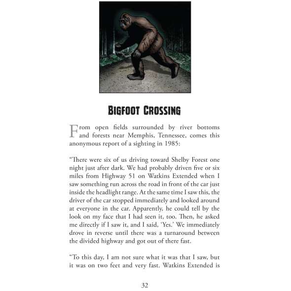 Bigfoot Campfire Tales - Book - Paracay