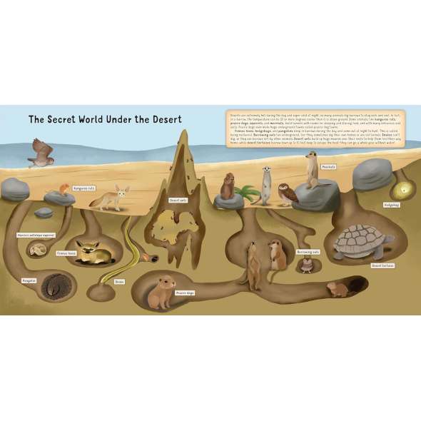 Discovering The Amazing World Of The Desert - Book - Paracay