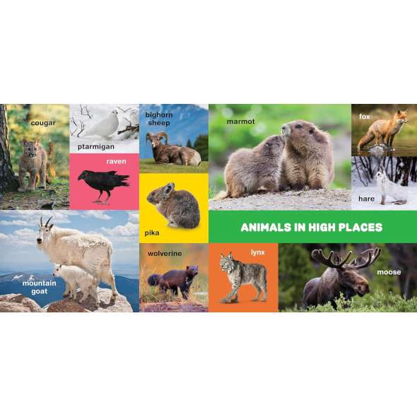 My First 100 Pacific Northwest Animals - Book - Paracay
