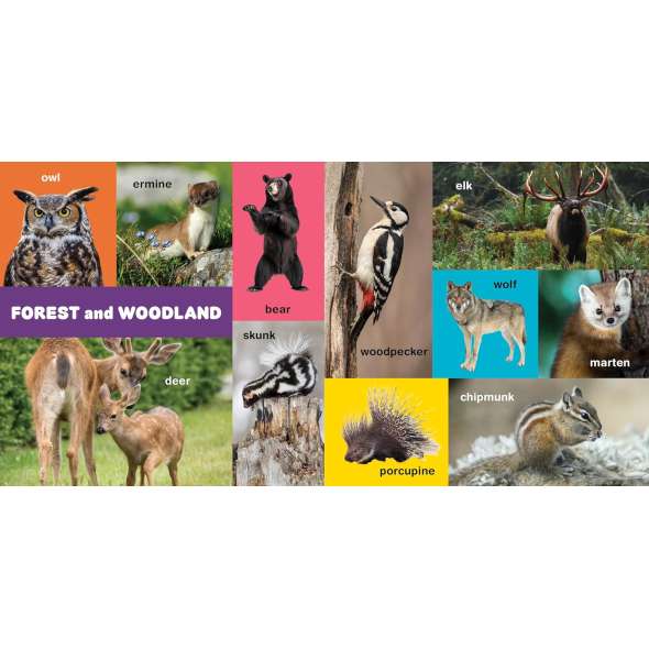 My First 100 Pacific Northwest Animals - Book - Paracay