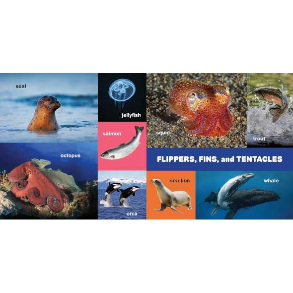 My First 100 Pacific Northwest Animals - Book - Paracay