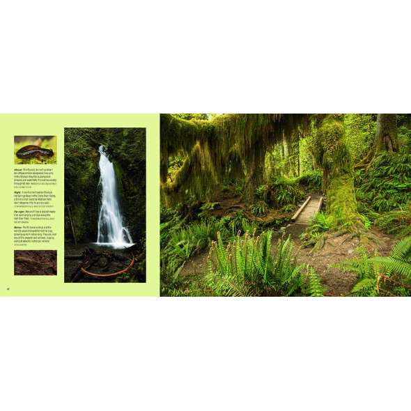 Olympic: A Photographic Journey - Book - Paracay