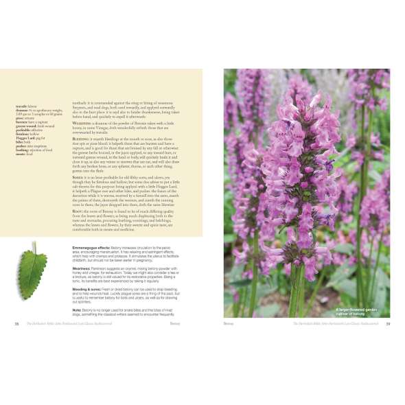 The Herbalists Bible - Book - Paracay