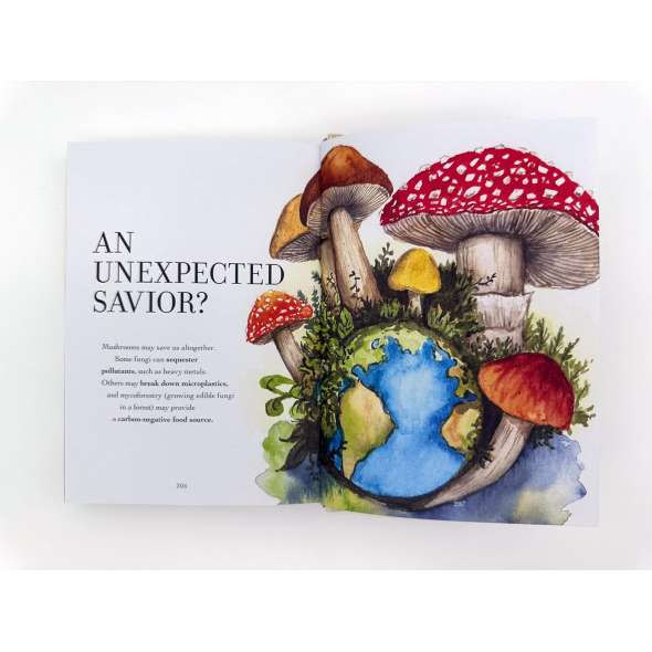 The Wonder Of Mushrooms - Book - Paracay