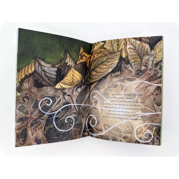 The Wonder Of Mushrooms - Book - Paracay