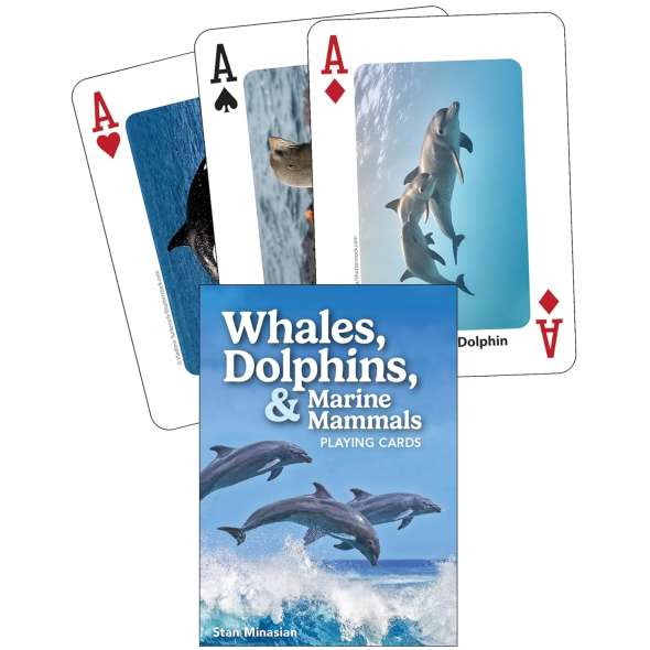 Whales, Dolphins, & Marine Mammals Playing Cards - Book - Paracay