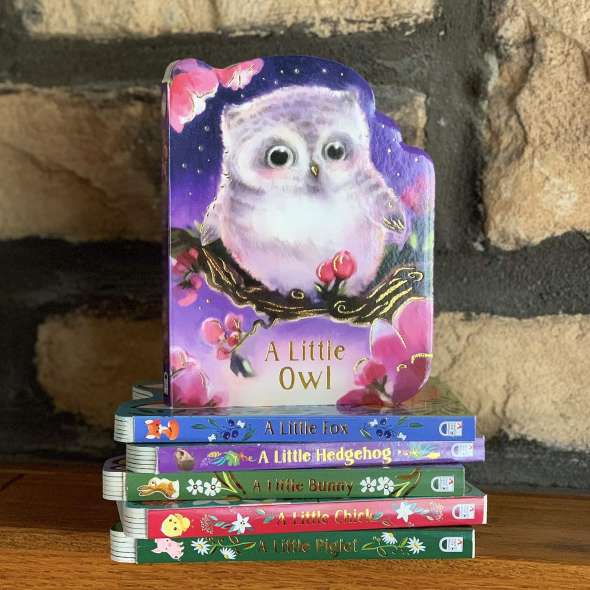 A Little Owl: An Animal Shaped Board Book - Book - Paracay