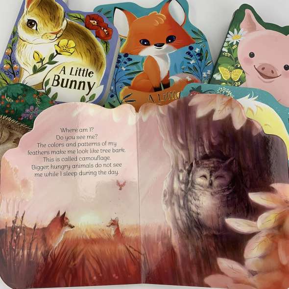 A Little Owl: An Animal Shaped Board Book - Book - Paracay