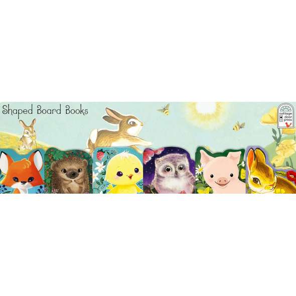 A Little Owl: An Animal Shaped Board Book - Book - Paracay