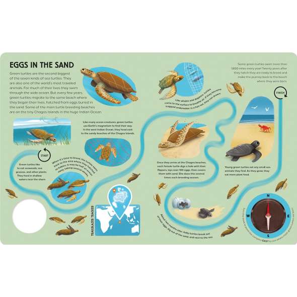 Epic Animal Journeys in the Sea: Animal Tracking Compass Book - Book - Paracay