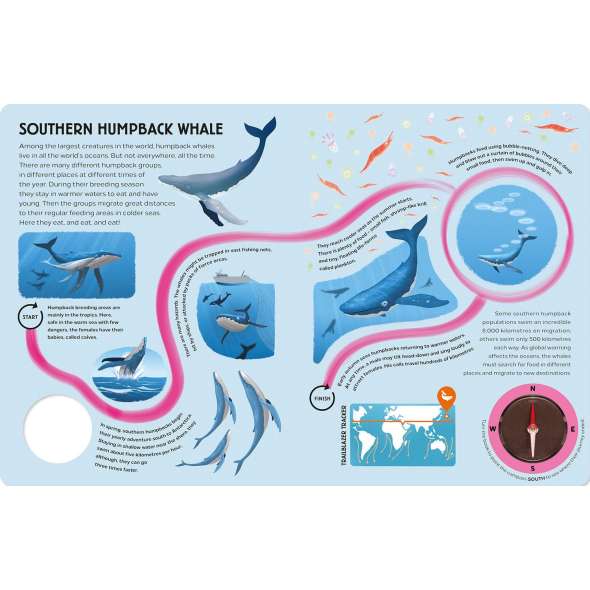 Epic Animal Journeys in the Sea: Animal Tracking Compass Book - Book - Paracay