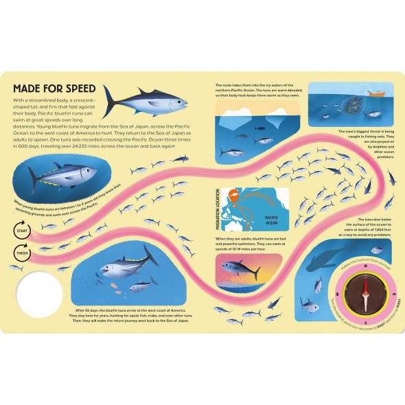 Epic Animal Journeys in the Sea: Animal Tracking Compass Book - Book - Paracay