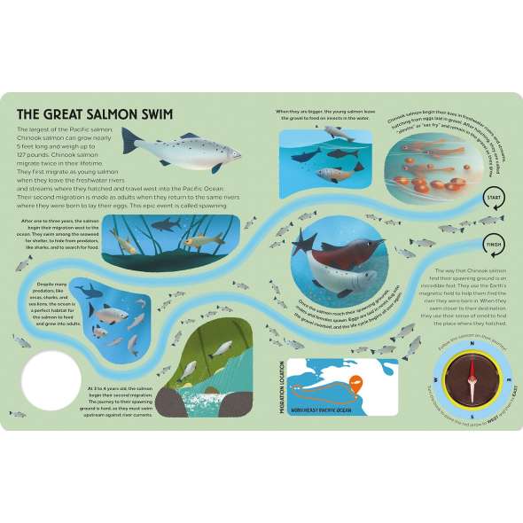 Epic Animal Journeys in the Sea: Animal Tracking Compass Book - Book - Paracay