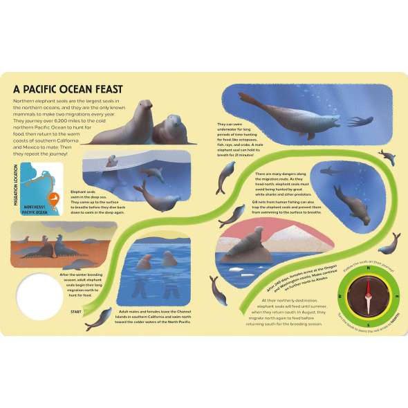 Epic Animal Journeys in the Sea: Animal Tracking Compass Book - Book - Paracay