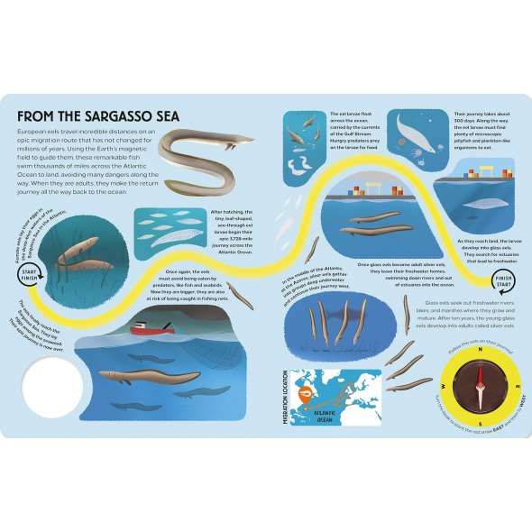 Epic Animal Journeys in the Sea: Animal Tracking Compass Book - Book - Paracay